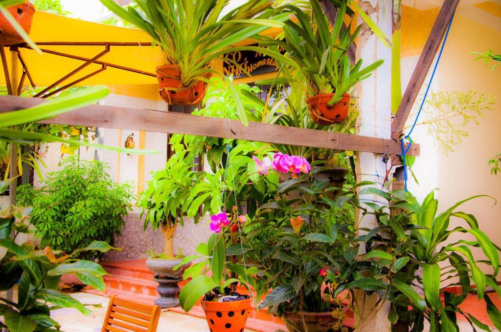 Memories Homestay Hoi An Exterior foto